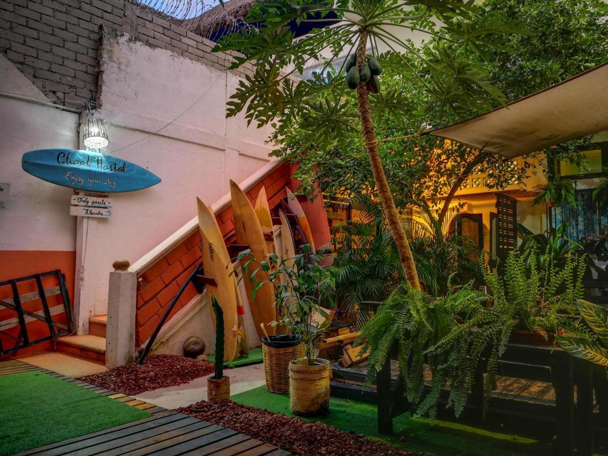 Chaak Hostel Puerto Escondido  Εξωτερικό φωτογραφία