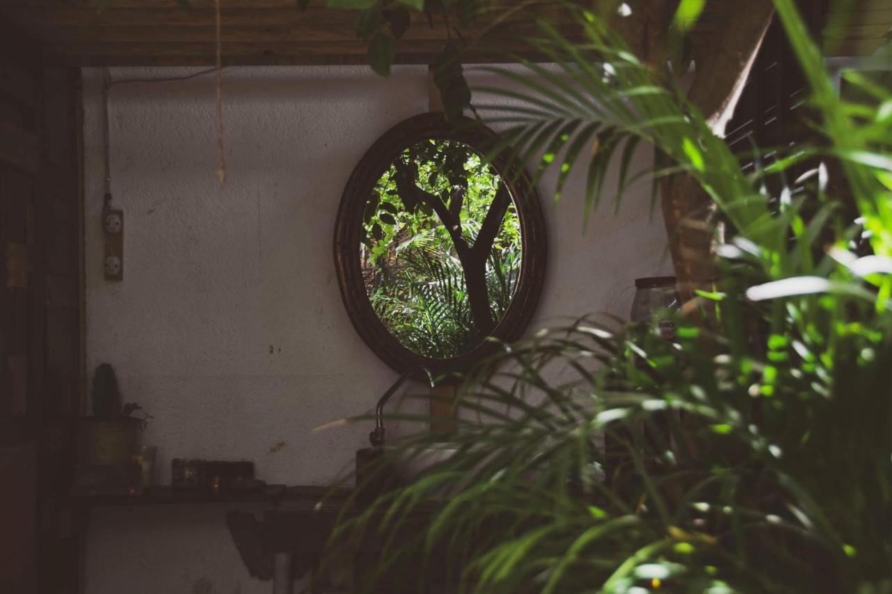 Chaak Hostel Puerto Escondido  Εξωτερικό φωτογραφία