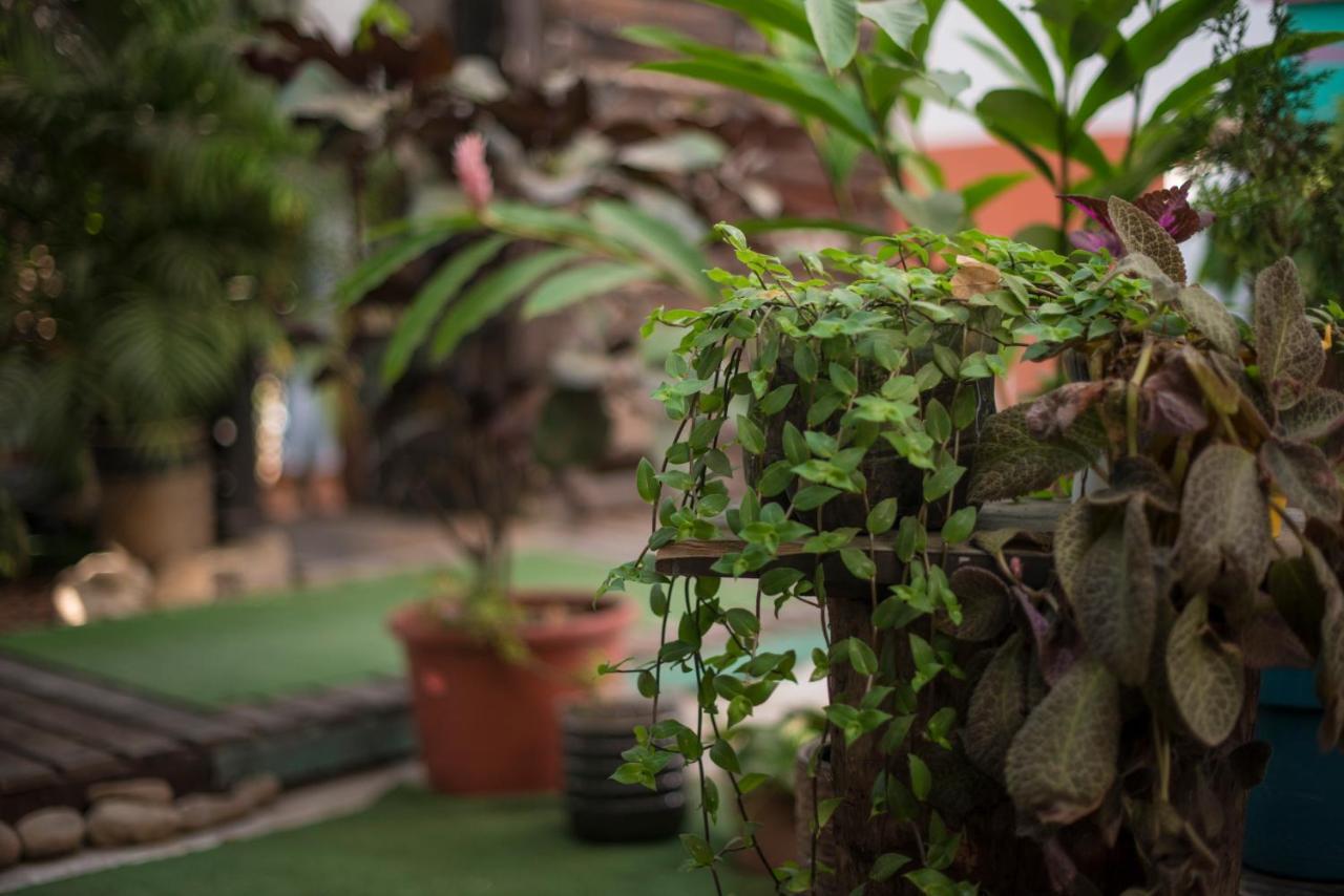 Chaak Hostel Puerto Escondido  Εξωτερικό φωτογραφία