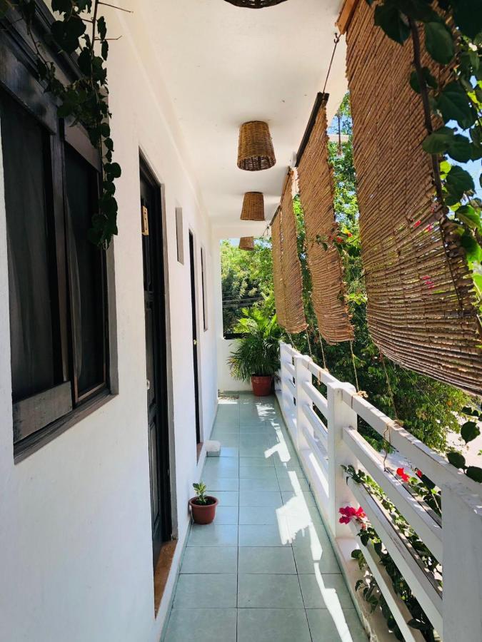 Chaak Hostel Puerto Escondido  Εξωτερικό φωτογραφία