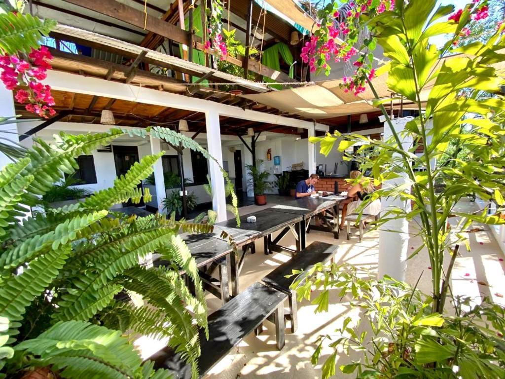 Chaak Hostel Puerto Escondido  Εξωτερικό φωτογραφία